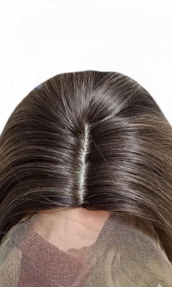 Ash Blonde Ombre Fixed Parting Lace Wig 30" Long Straight Hair For Women Synthetic Hair | Zebaish Wigs & Extensions